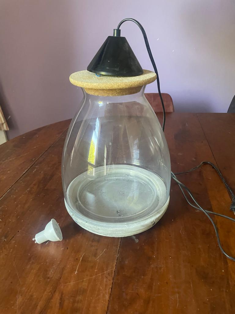 Glazen terrarium/lamp met kurken deksel, Ophalen of Verzenden