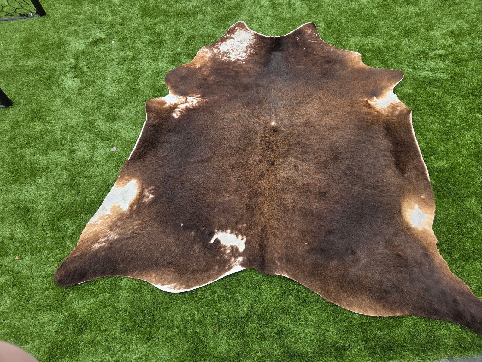 Echte koeienhuid - Decoratief vloerkleed, Natuurlijk, Rustiek, Modern, Gebruikt, 100 tot 150 cm, Ophalen of Verzenden