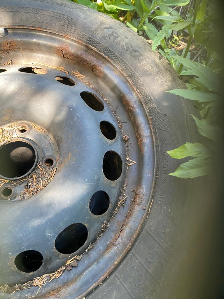 Winterbanden op stalen velg 205/55/R16 voor Citroën C4 Cactu, Ophalen, Gebruikt, 16 inch, Banden en Velgen