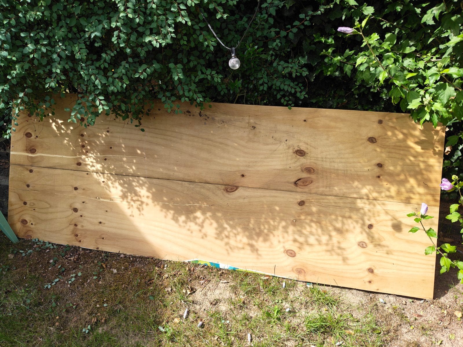gratis af te halen  osb hout, 25 tot 50 mm, Overige typen, Ophalen of Verzenden, 250 tot 300 cm