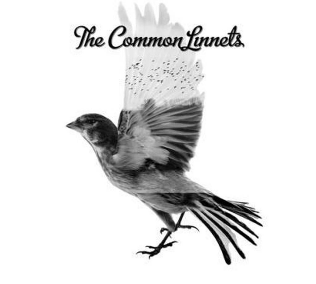 CD The Common Linnets, Verzenden, Zo goed als nieuw