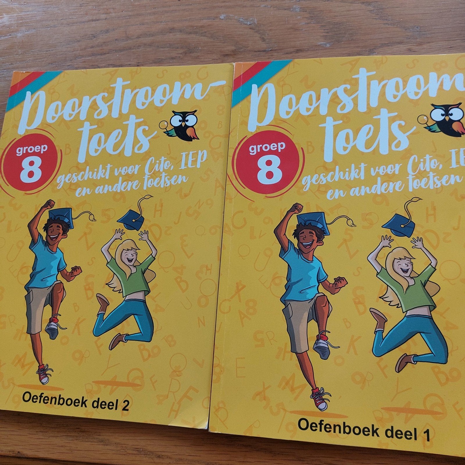 Doorstroomtoets oefenboek deel 1 en 2 Wijzer over de basissc, Verzenden, Zo goed als nieuw, Overige niveaus, Nederlands