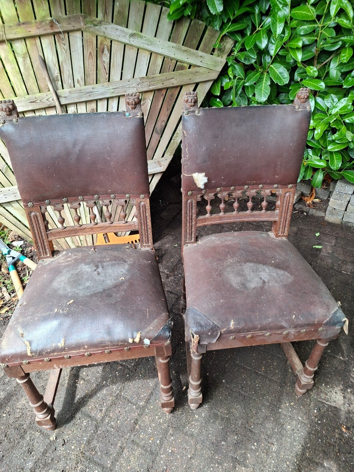 Antieke stoelen met leeuwenkop details - opknapper, Antiek en Kunst, Antiek | Meubels | Stoelen en Banken, Ophalen