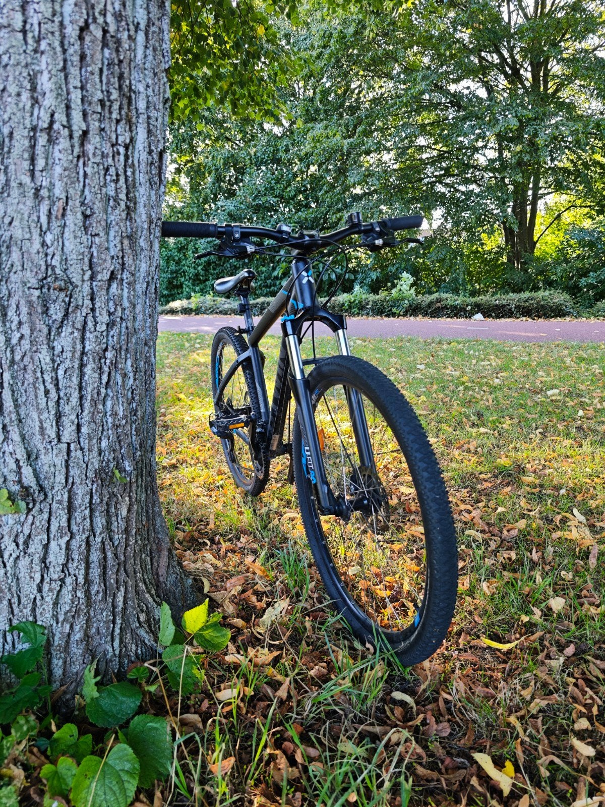 Rockrider 520,(M), Ophalen, 24 inch of meer, Gebruikt, Aluminium