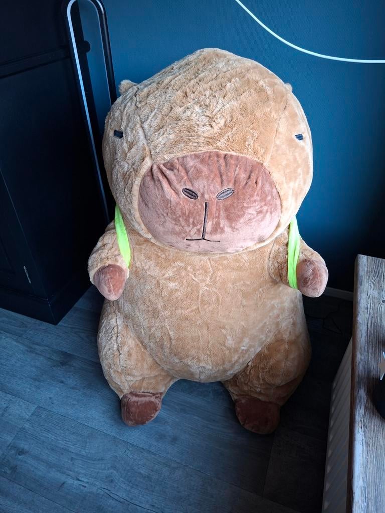 Grote Capybara Knuffel met Schildpad Rugzak, Overige merken, Overige karakters, Overige typen, Ophalen of Verzenden