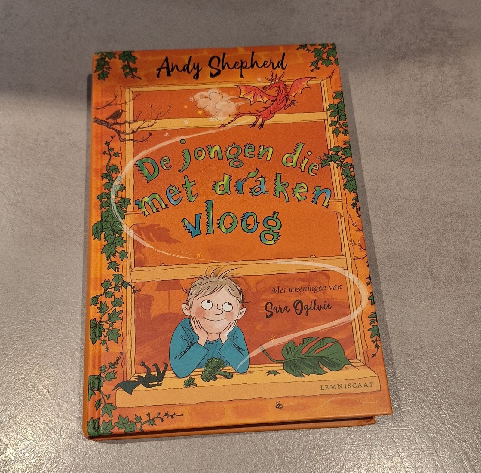 De jongen die met draken vloog - Andy Shepherd, Ophalen of Verzenden, Zo goed als nieuw, Andy Shepherd, Fictie algemeen