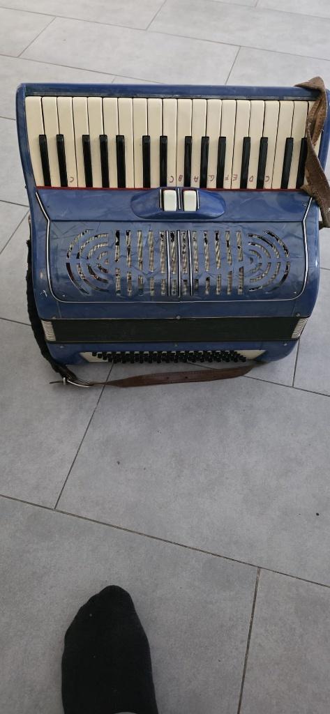 Accordeon, Muziek en Instrumenten, Overige Muziek en Instrumenten, Ophalen of Verzenden, Gebruikt