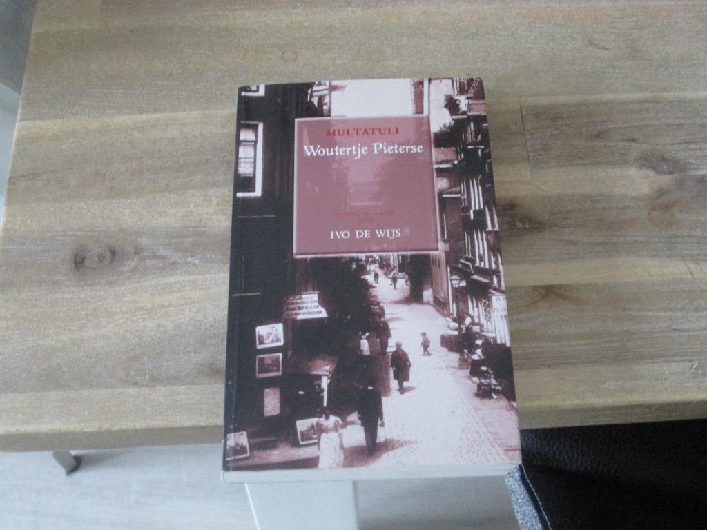 Multatuli Woutertje Pieterse door Ivo de Wijs, Boeken, Ophalen of Verzenden, Zo goed als nieuw