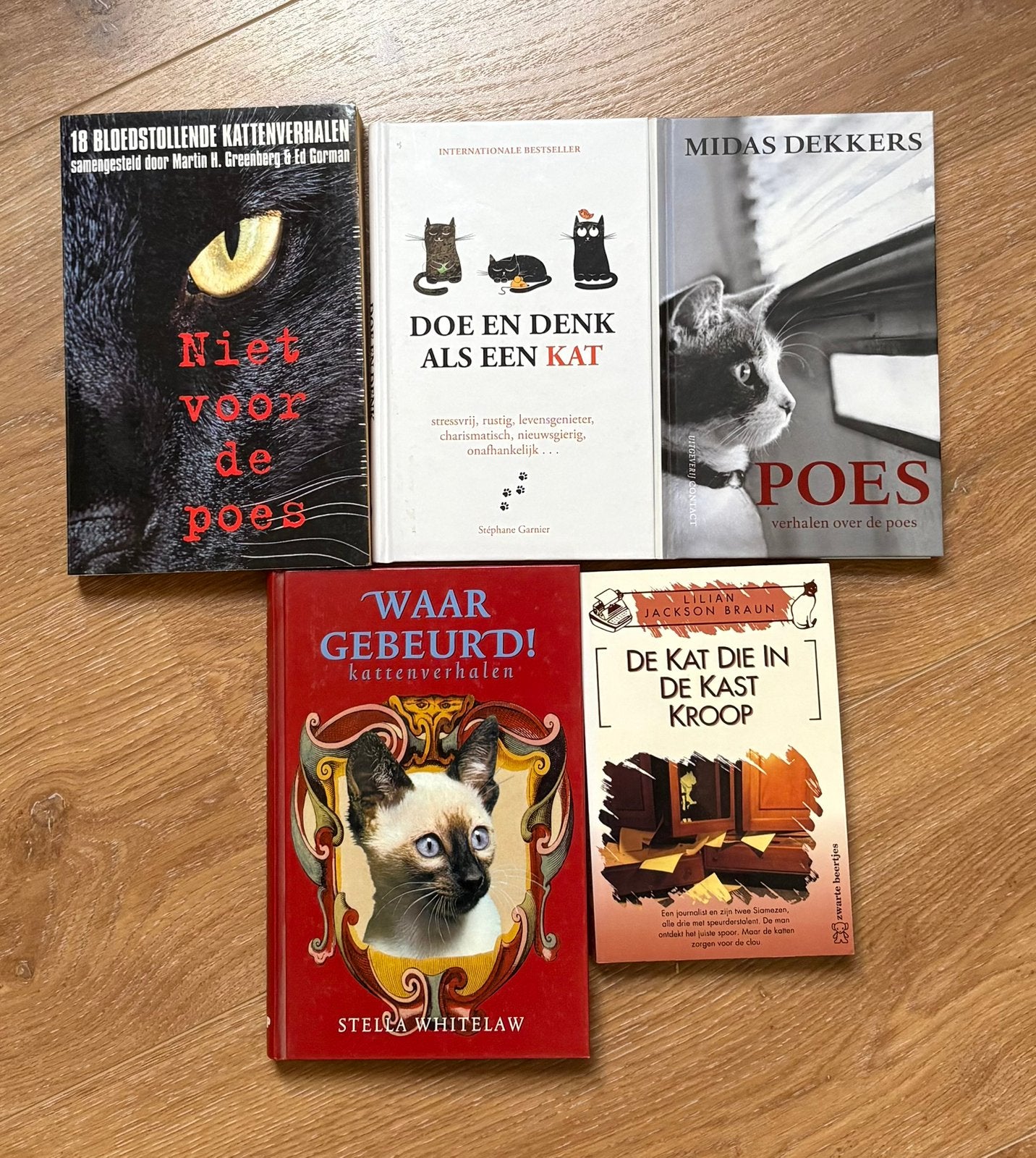 Diverse leuke boeken met katten in de hoofdrol, Ophalen of Verzenden, Zo goed als nieuw, Verhalen