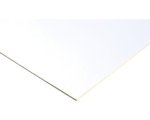 MDF plaat 1 zijde wit 2440x1220x3 mm, Doe-het-zelf en Verbouw, Platen en Panelen, Ophalen, Nieuw, Hout, Minder dan 20 mm