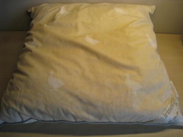 Hoofdkussen Irisette, 60x60, vulling 500 gr, 50% ganzendons, Ophalen of Verzenden, Tweepersoons, Wit, Dekbedovertrek