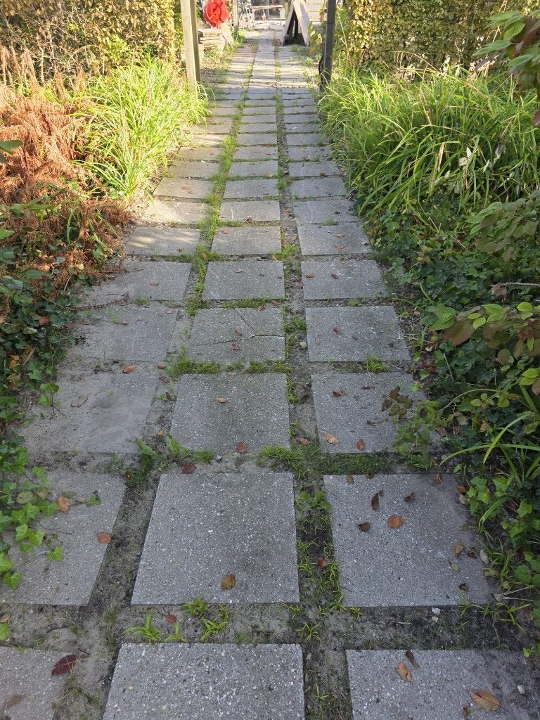 Schellevis | Oud Hollandse tegel, Tuin en Terras, Ophalen, Gebruikt, 10 m² of meer, Beton