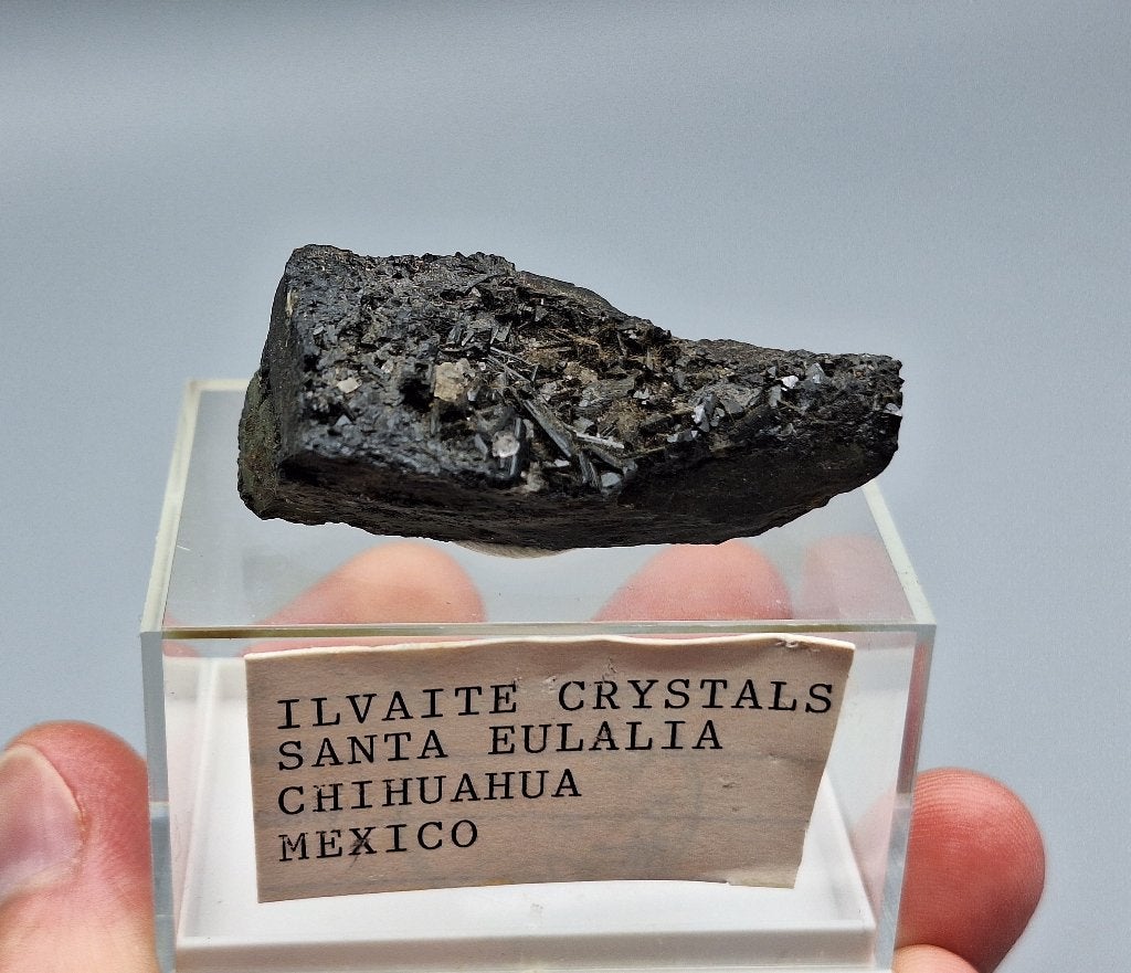 Ilvaiet - Santa Eulalia, Chihuahua, Mexico, Ophalen of Verzenden, Mineraal
