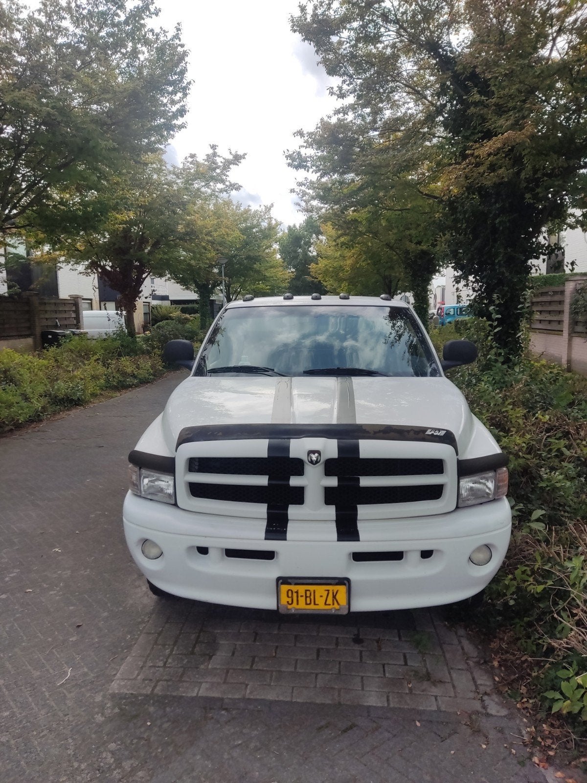Dodge RAM Dodge RAM 1999 lpg, 230 pk, Particulier, Geïmporteerd, Dodge