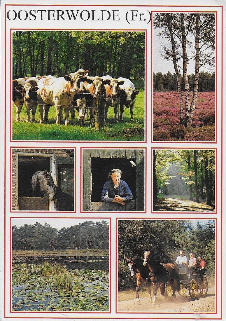 Oosterwolde Gelopen Ansichtkaart ( 4410 ), Ophalen of Verzenden, 1980 tot heden, Gelopen