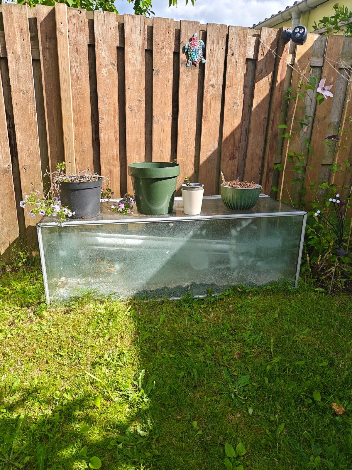 Gratis aquarium/ terrarium!, Ophalen, Leeg aquarium