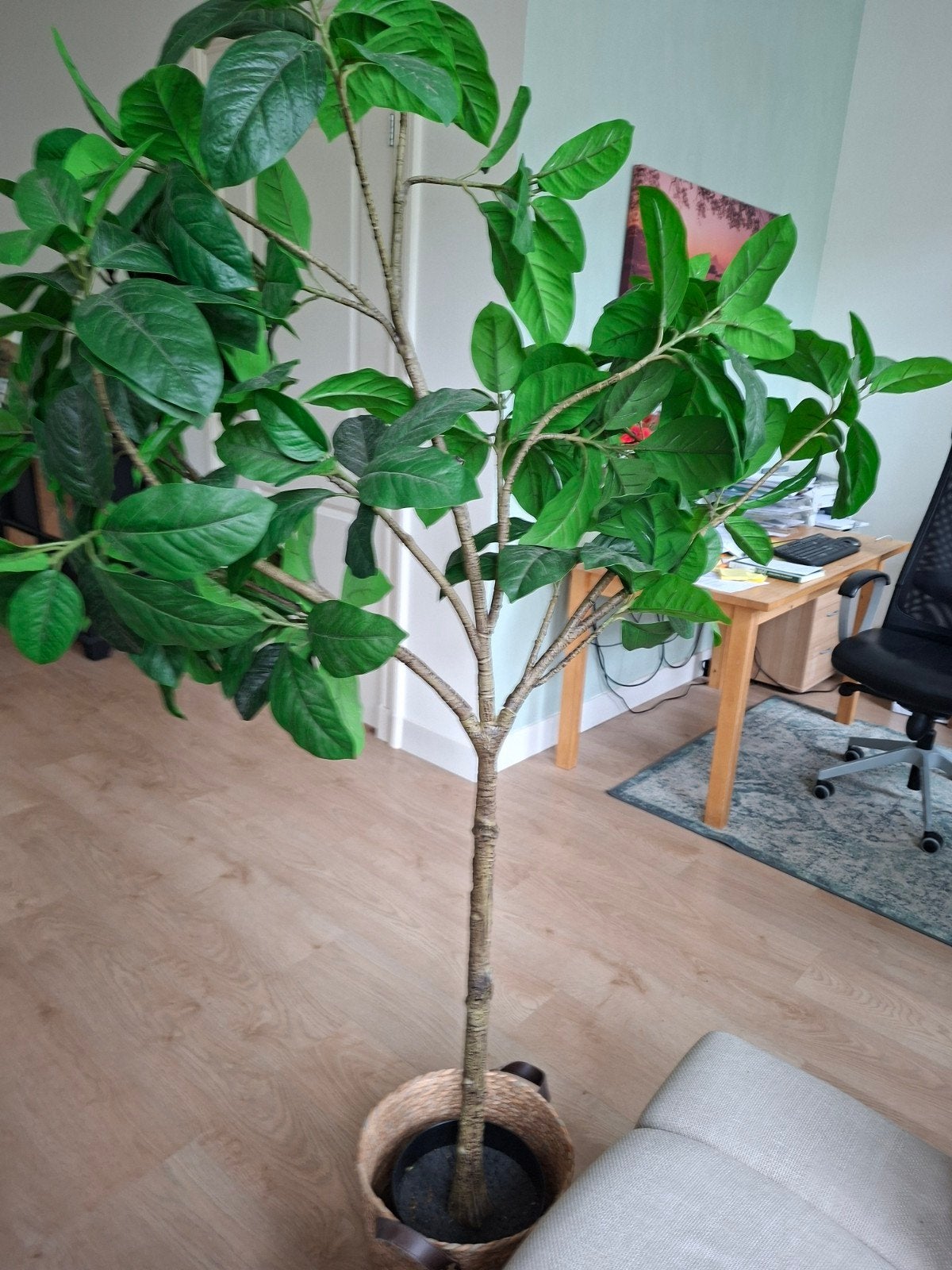 Grote Ikea FEJKA kunstplant/boom Magnolia, binnen en buiten, Huis en Inrichting, Woonaccessoires | Kunstplanten en Kunstbloemen