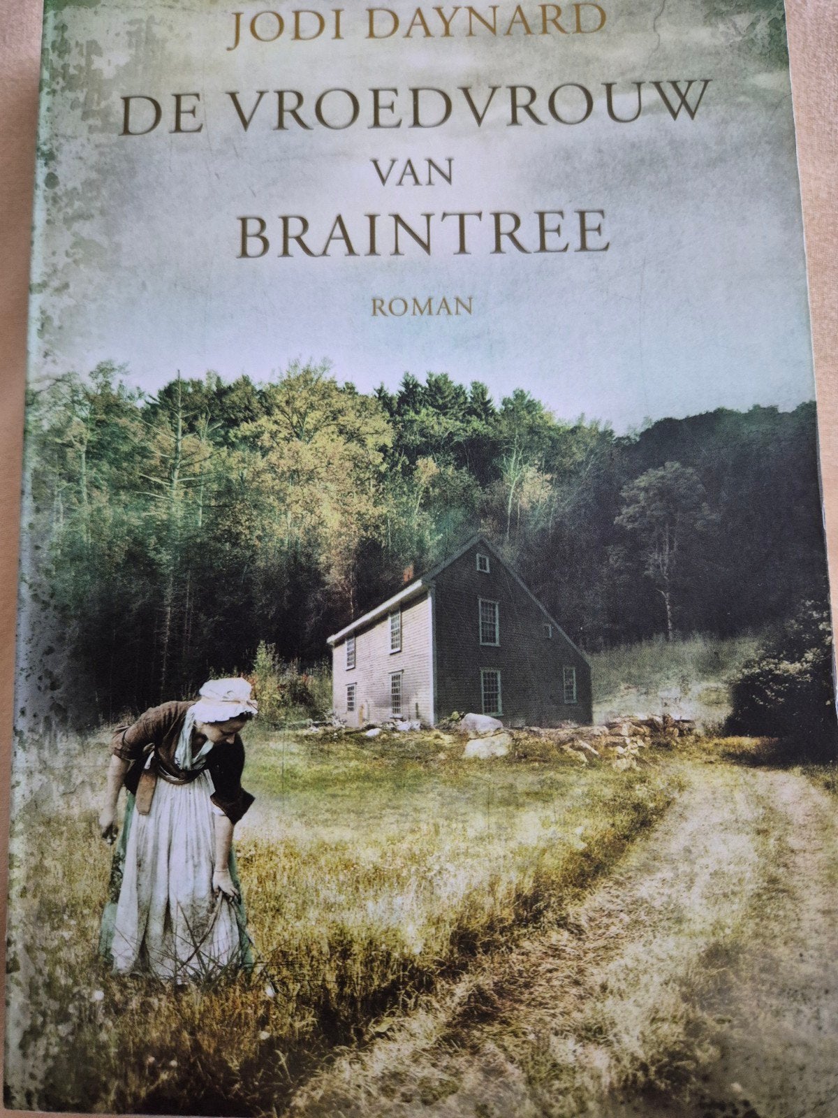 Jodi Daynard - De vroedvrouw van Braintree, Boeken, Ophalen of Verzenden, Zo goed als nieuw, Jodi Daynard