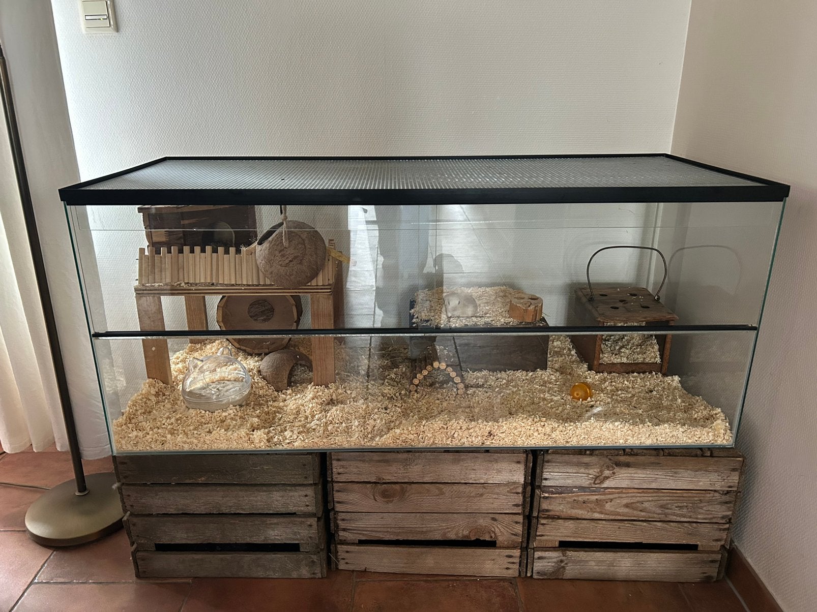 Hamsterkooi terrarium, Dieren en Toebehoren, Kooi, Hamster, Ophalen, Minder dan 60 cm