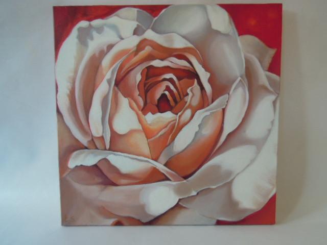 Canvas schilderij roze roos, 50 tot 75 cm, Ophalen of Verzenden, Zo goed als nieuw, Schilderij