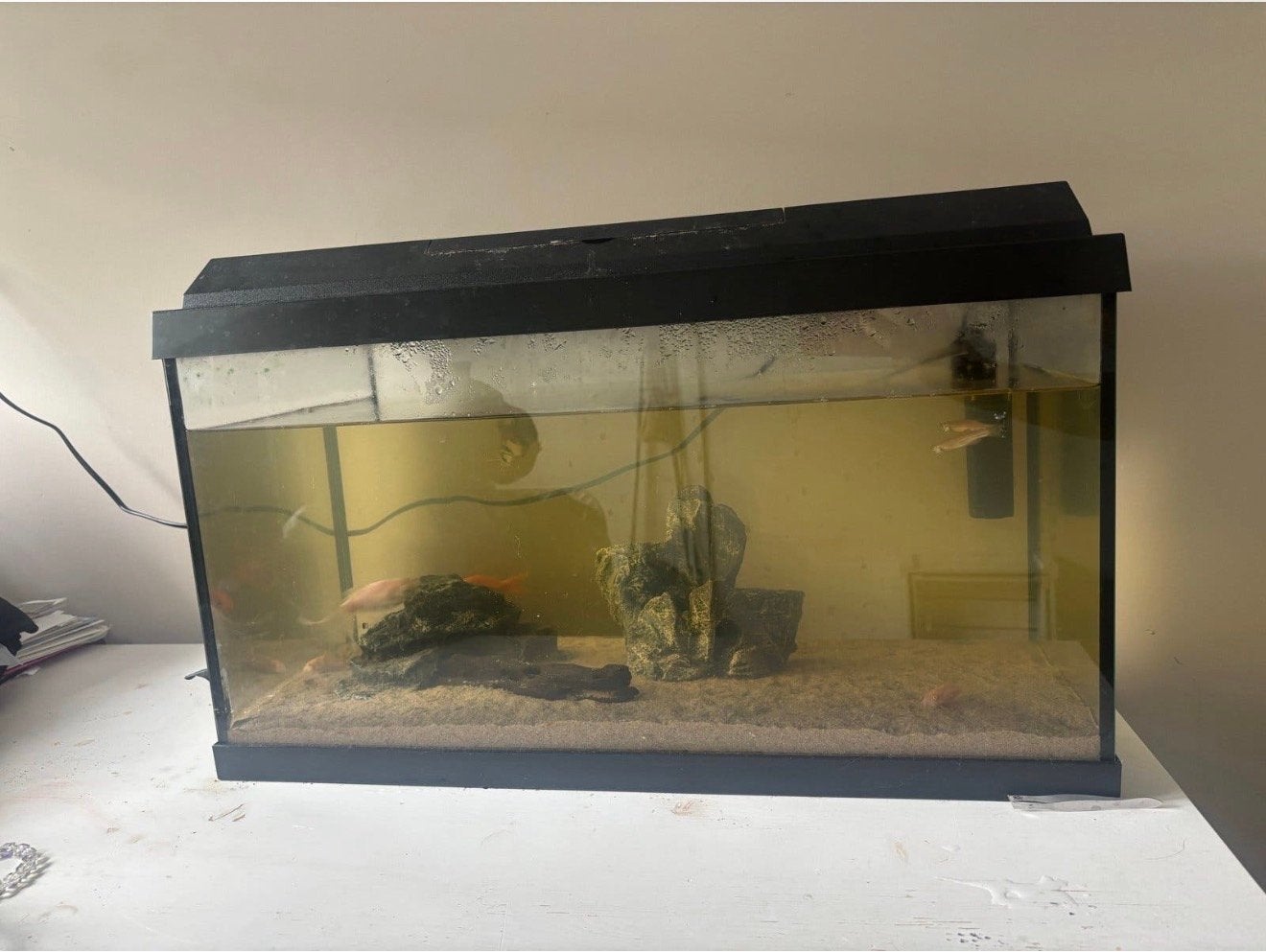 Aquarium, Dieren en Toebehoren, Ophalen, Leeg aquarium