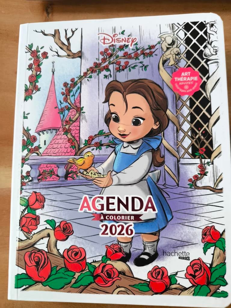 Disney coloring agenda 2026, Ophalen, Nieuw