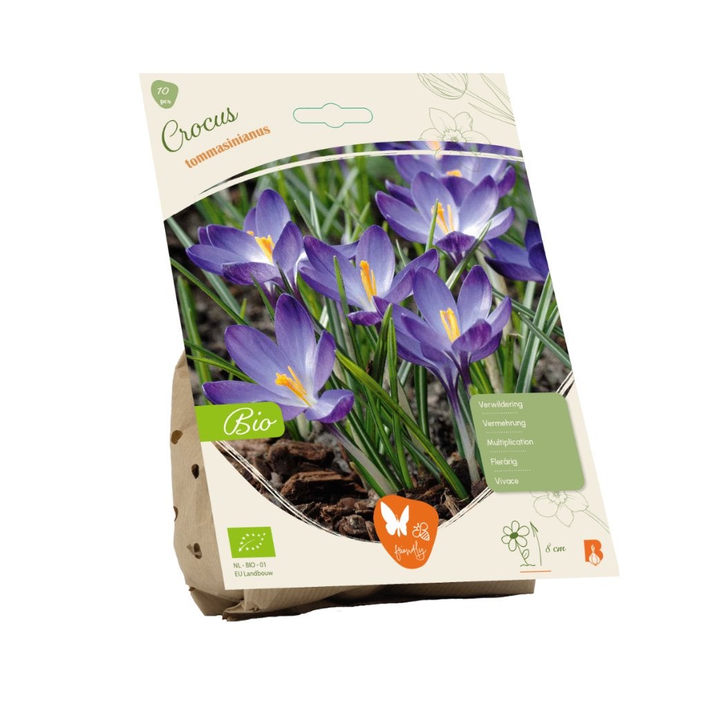 Krokus (Crocus thomassinianus) BIOLOGISCH, Tuin en Terras, Ophalen of Verzenden, Najaar, Volle zon, Bloembol
