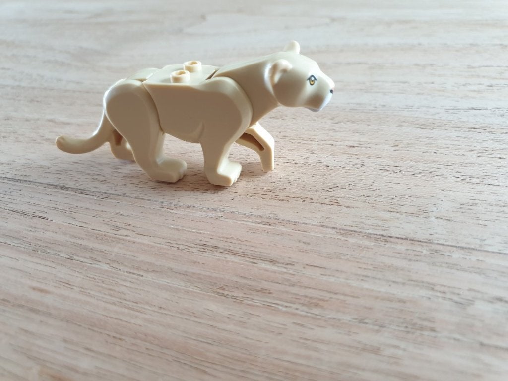 Nieuwe vrouwtjes Leeuw van Lego, Lego, Lego, Lego, Overige typen
