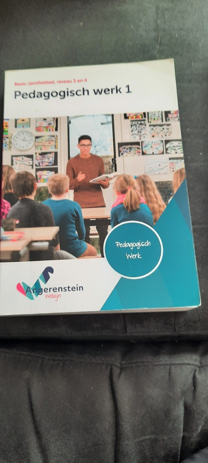 pedagogisch werk 1, Ophalen of Verzenden, Gelezen, Overige niveaus
