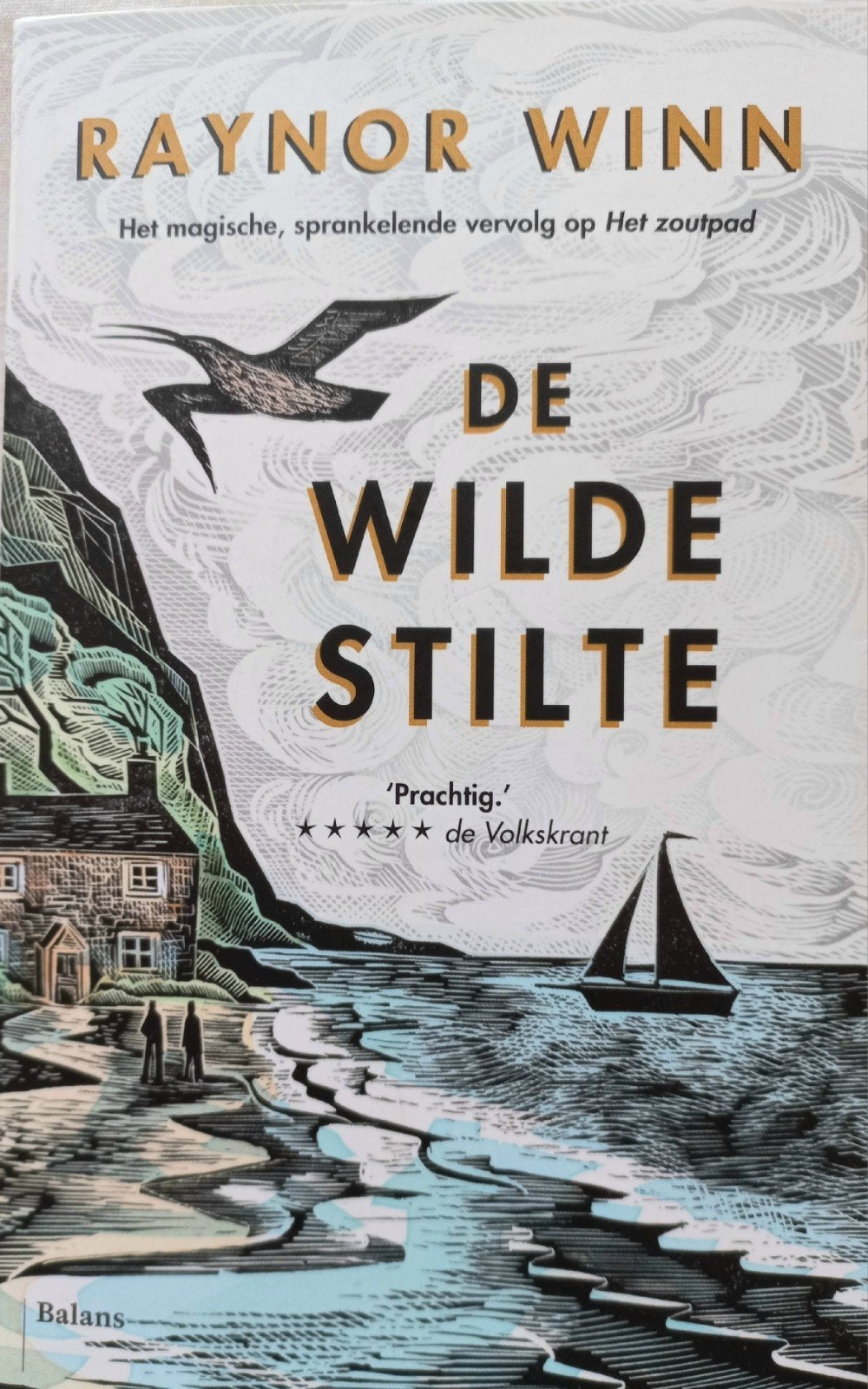 de Wilde stilte van Raynor Winn, Boeken, Ophalen of Verzenden, Gelezen, Europa