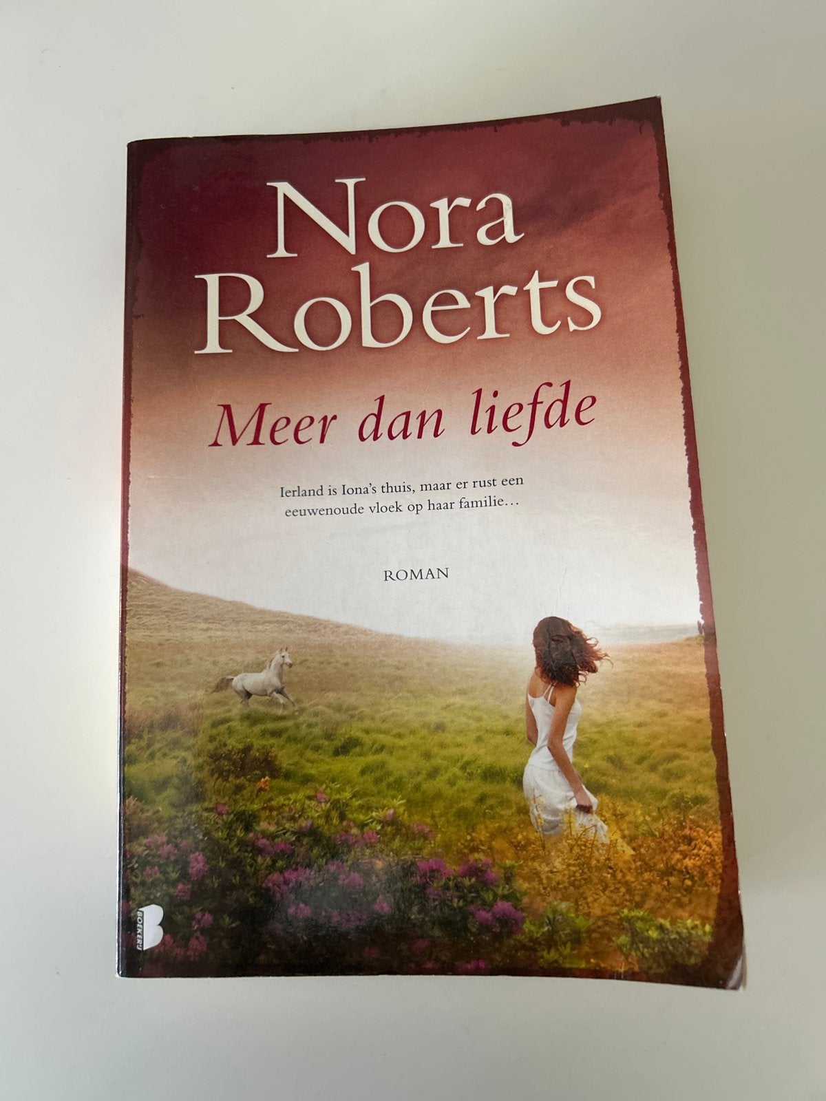 Nora Roberts - Meer dan liefde (Roman), Ophalen of Verzenden, Gelezen, Europa overig