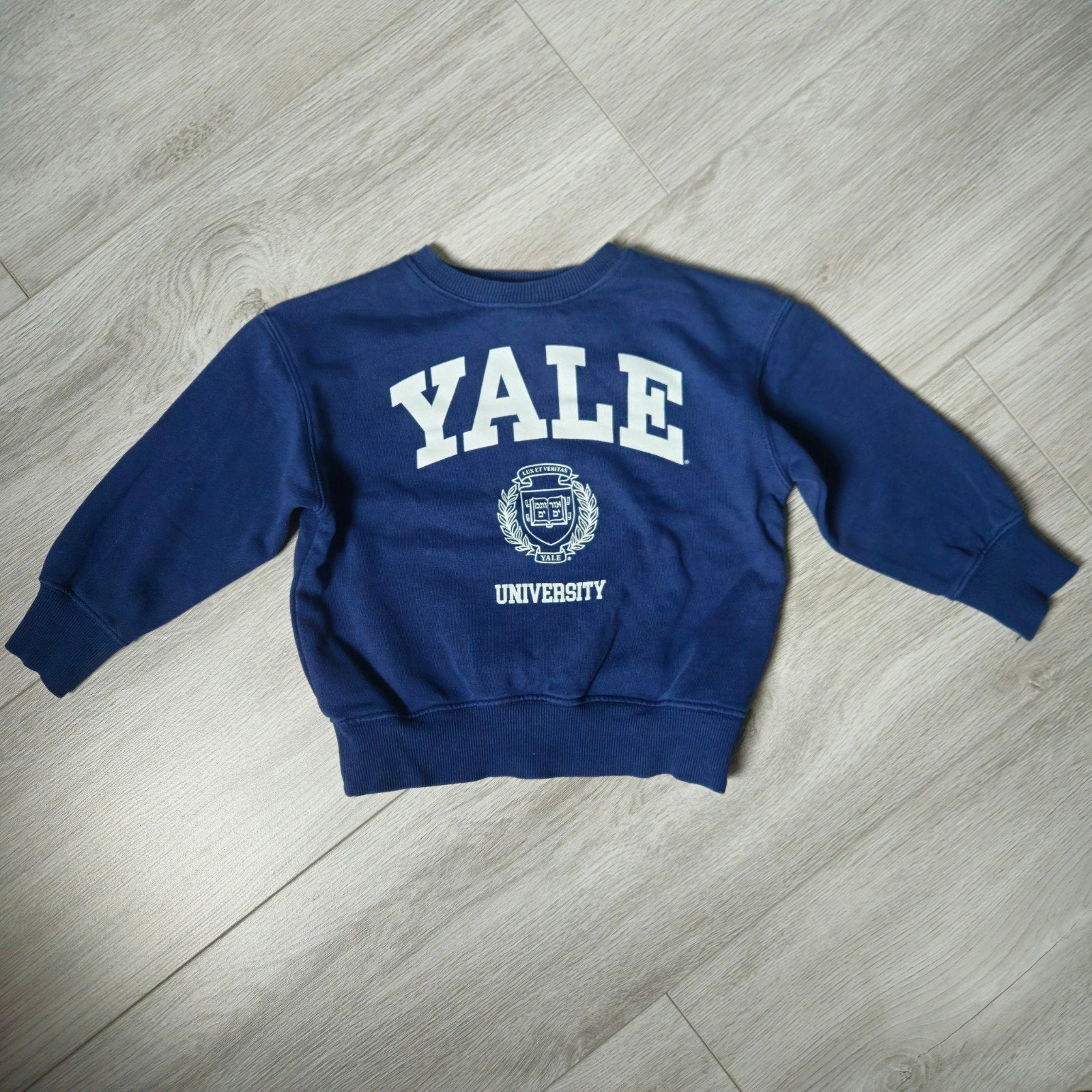 Stoere Zara Yale University trui maat 116, Ophalen of Verzenden, Zara, Jongen, Trui of Vest