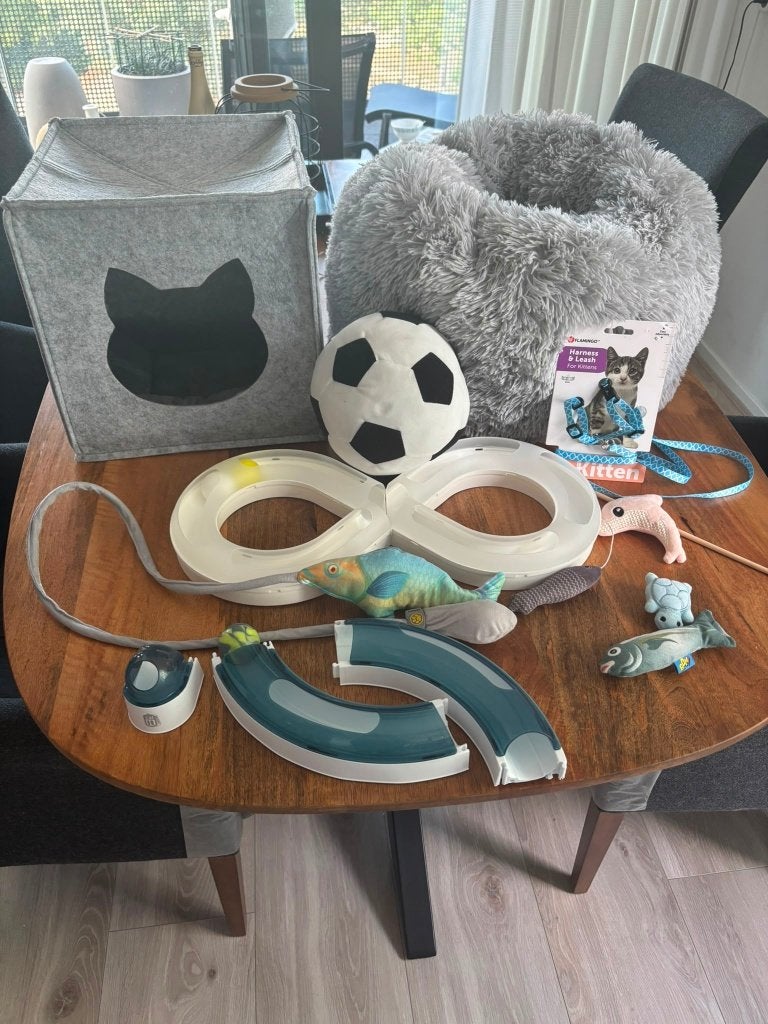 Kitten/katten pakket, Ophalen, Zo goed als nieuw