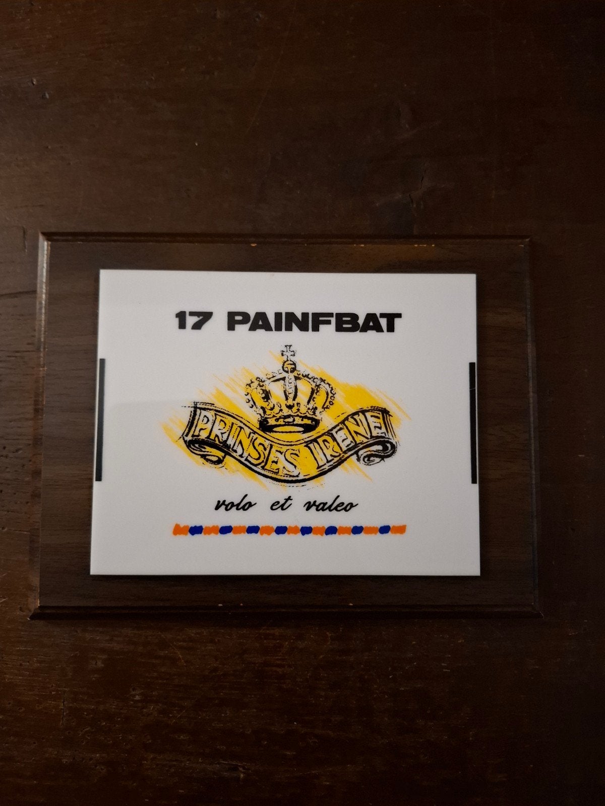 Wapenschild Militair 17 PAINFBAT, Ophalen of Verzenden, Landmacht, Nederland, Embleem of Badge