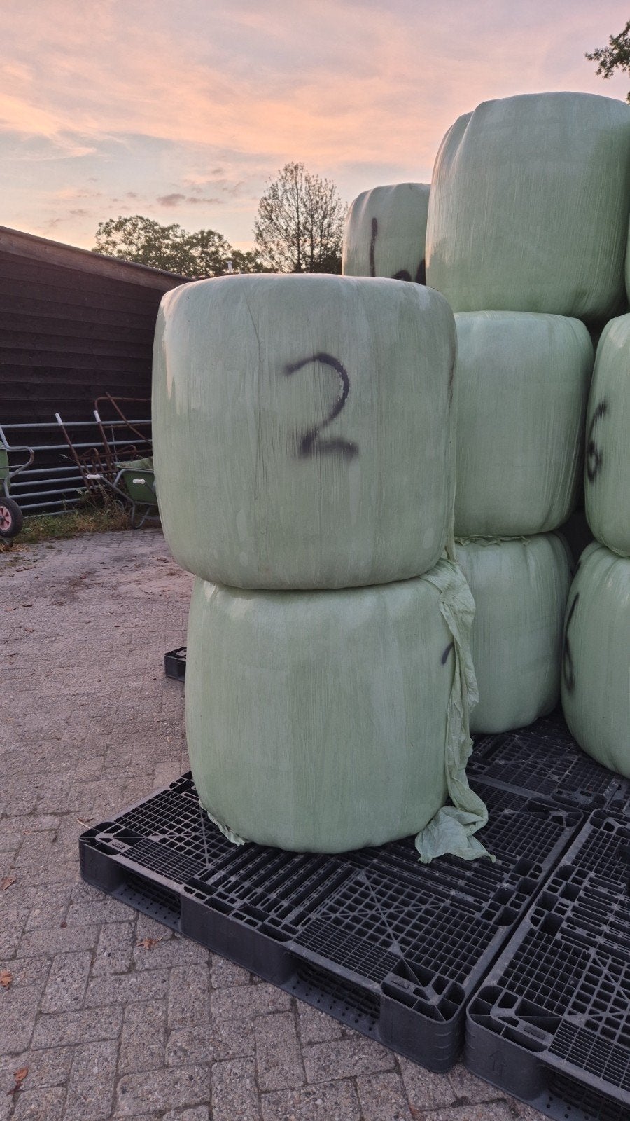 Midibalen hooi 2de snee 2025, Dieren en Toebehoren, Dierenvoeding, Ophalen of Verzenden, Vee