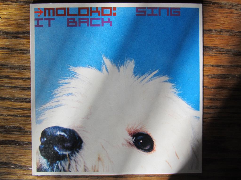 Sing It Back - Moloko, Maxi-single, Ophalen of Verzenden, Zo goed als nieuw, 1 single