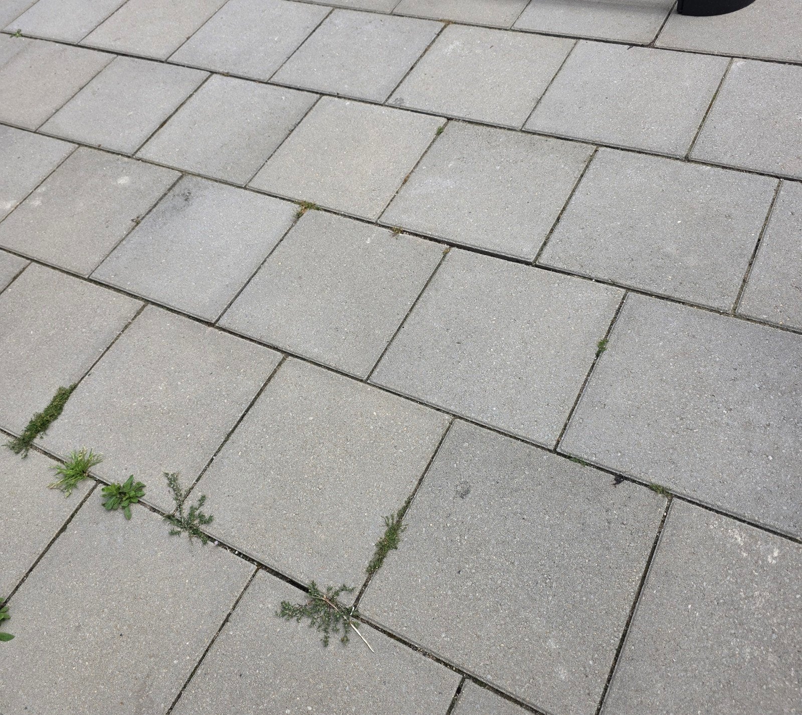 Gratis Betontegels 25m2 steen tegels beton stenen, Ophalen of Verzenden, Gebruikt, Beton, Terrastegels