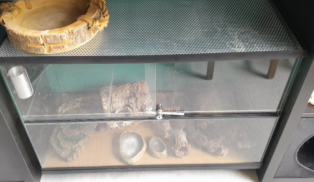 Terrarium, Dieren en Toebehoren, Overige typen, Zo goed als nieuw, Ophalen, Minder dan 60 cm