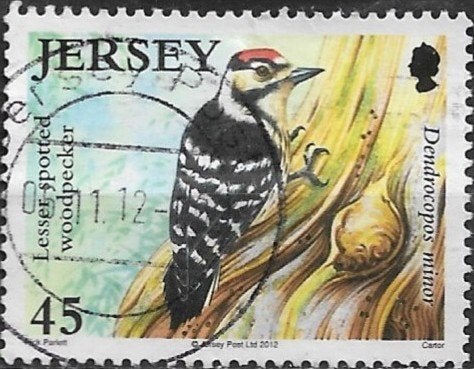 Jersey 2012 mi.1662 vogel KLEINE BONTE SPECHT nom.45p, Verzenden, Gestempeld