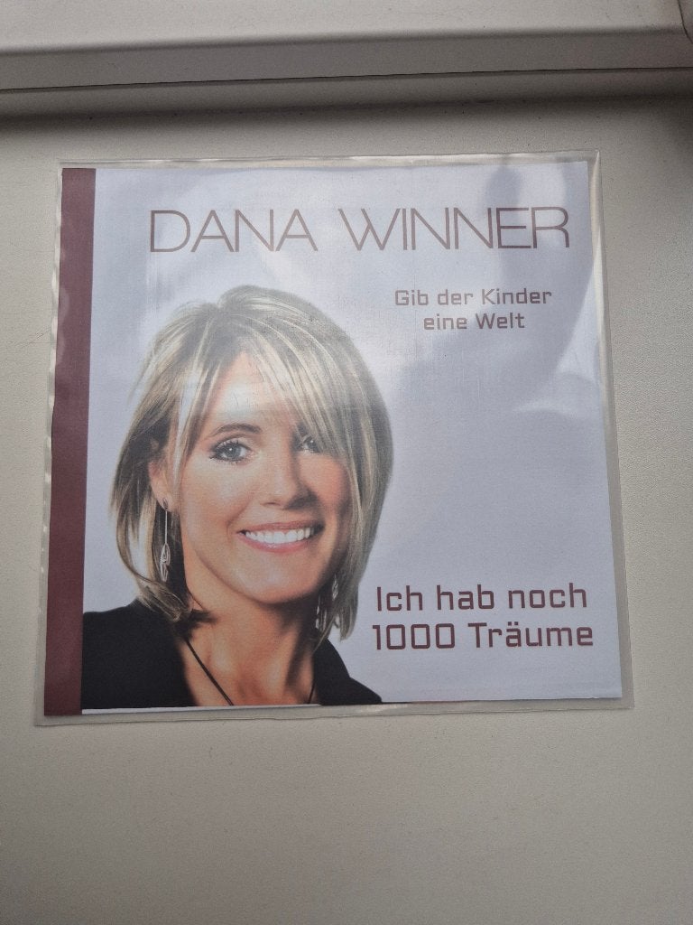Dana Winner, Ophalen of Verzenden, Zo goed als nieuw, 7 inch, Levenslied of Smartlap