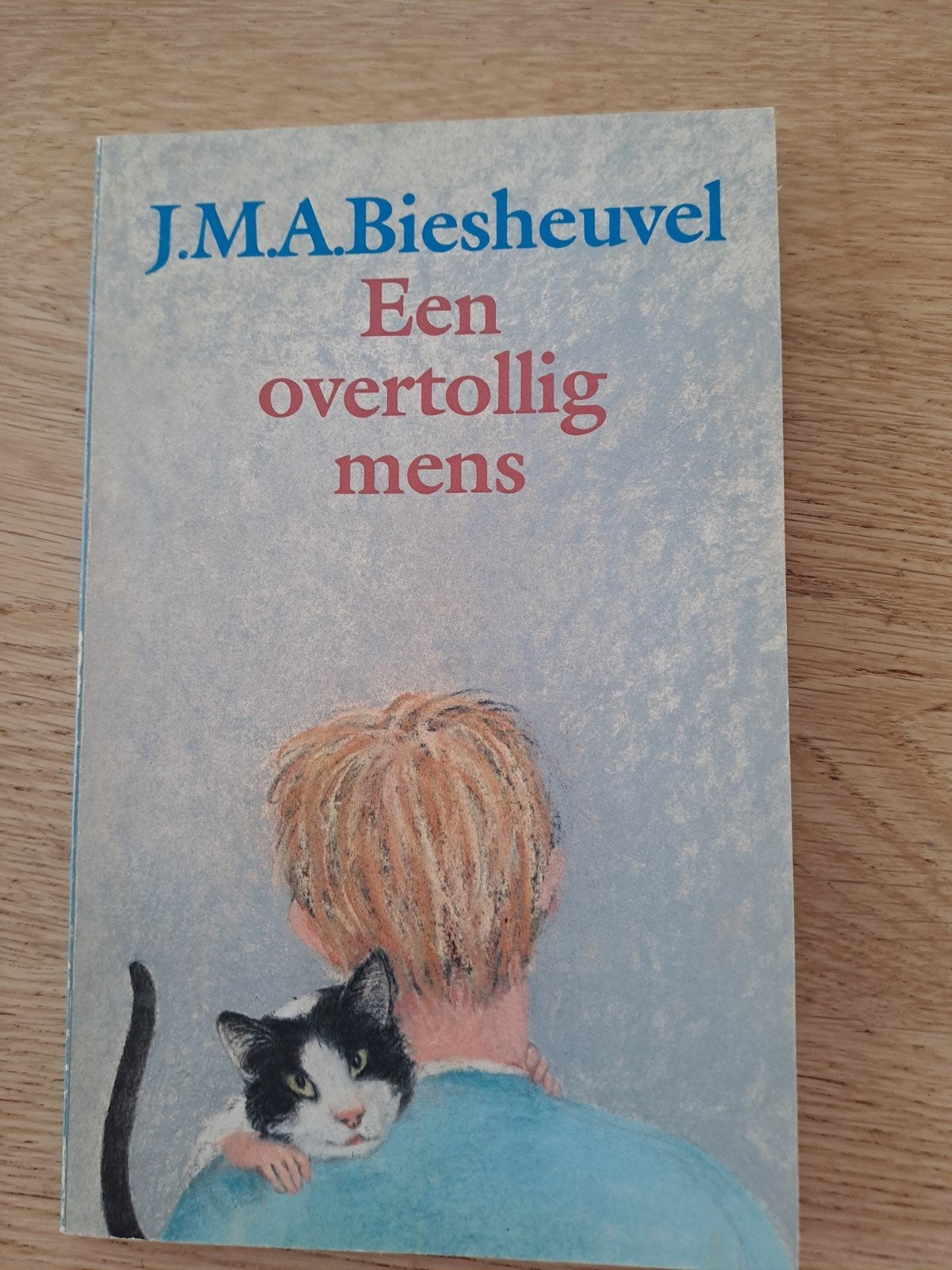 J.M.A. Biesheuvel - Een overtollig mens, Ophalen of Verzenden, Gelezen, J.M.A. Biesheuvel, Nederland