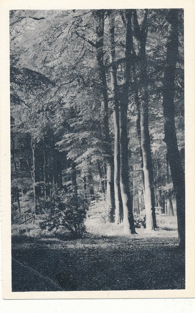 9891 Vakantie-centrum Katjeskelder Oosterhout, Verzamelen, Ansichtkaarten | Nederland, Verzenden, 1940 tot 1960, Noord-Brabant