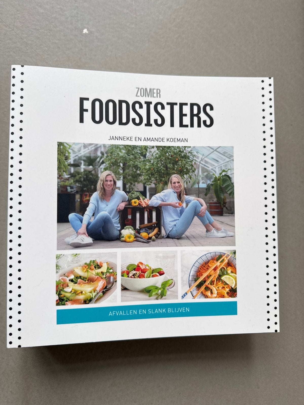 FoodSisters seizoenen boeken: Afvallen en Slank Blijven, Ophalen of Verzenden, Zo goed als nieuw, Dieet en Voeding