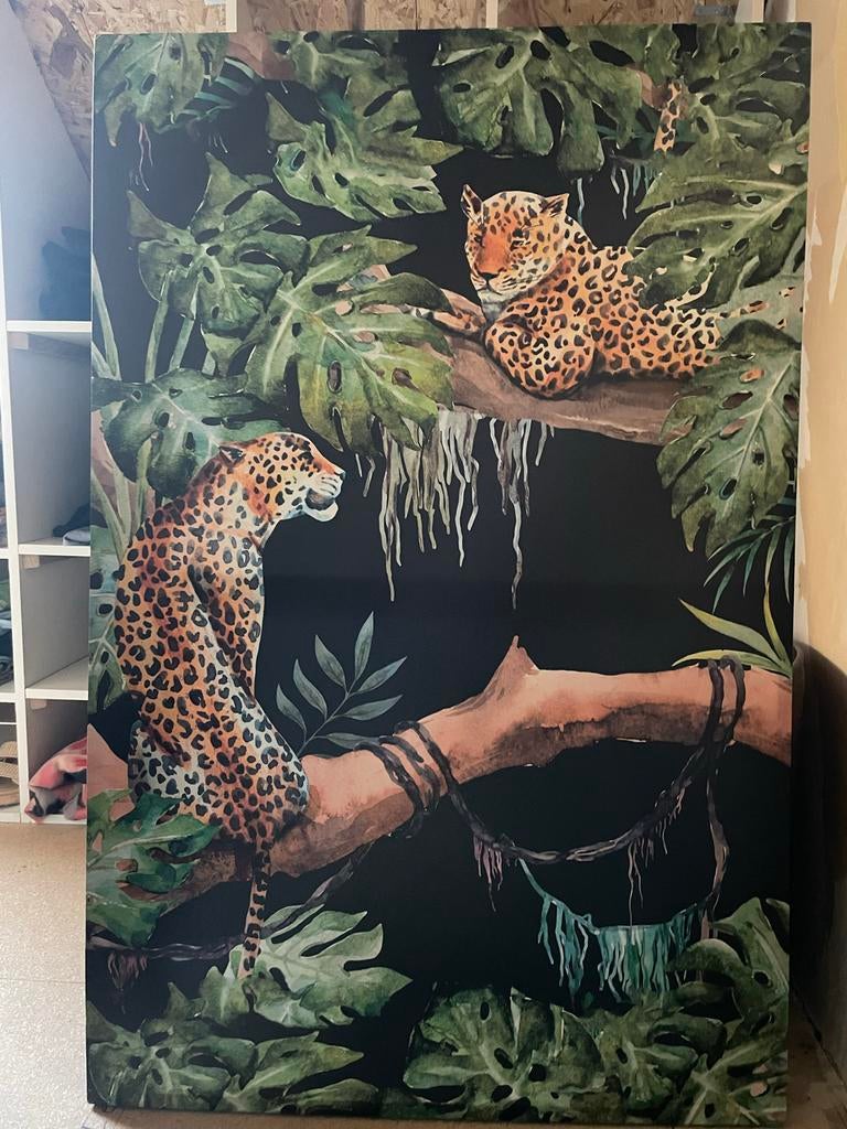Jungle Panelen: Luipaarden & Tropische Dieren, Ophalen, 75 cm of meer, 50 tot 75 cm, Print