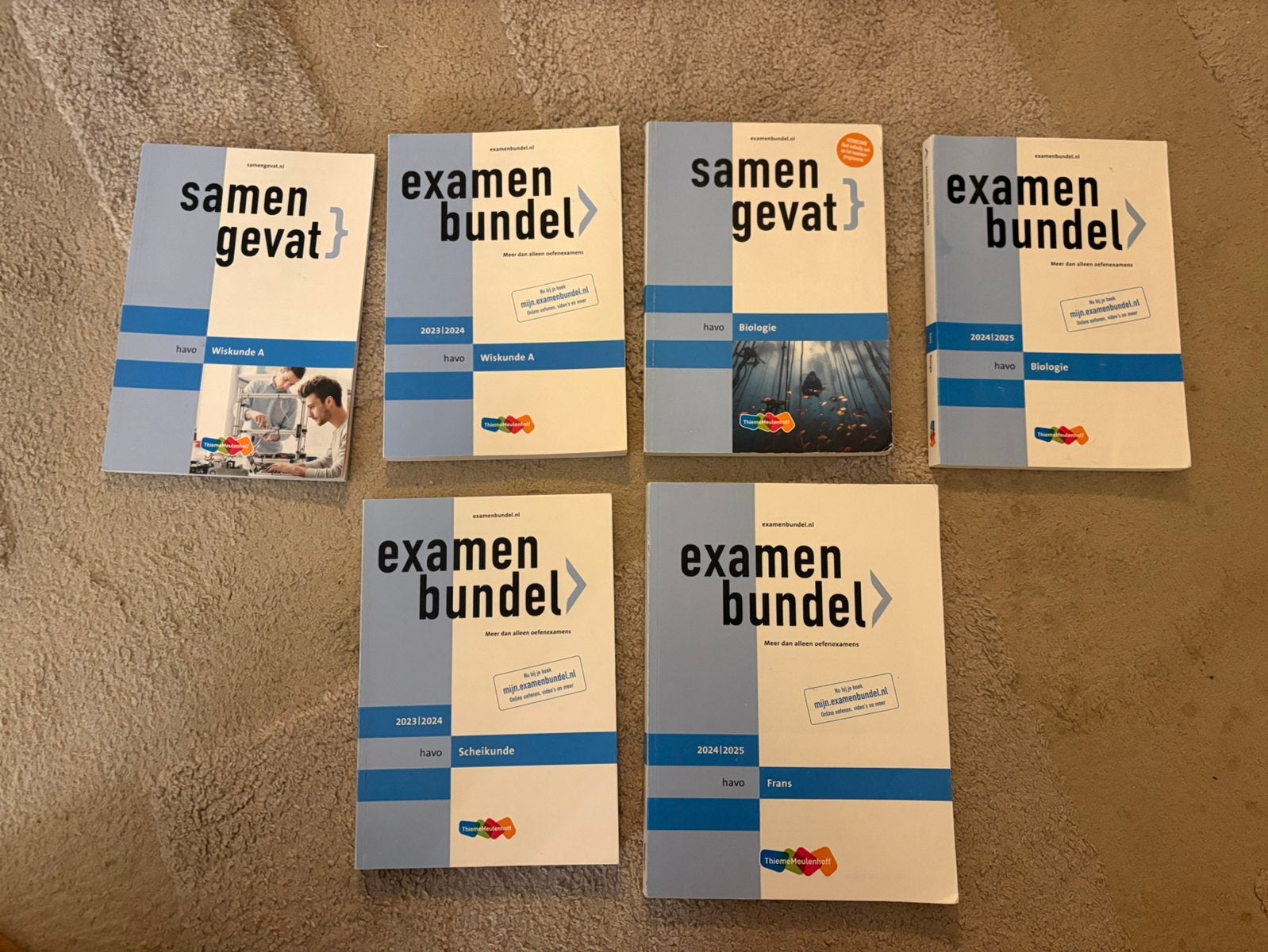 Examenbundels en samengevat havo, Boeken, Ophalen, Zo goed als nieuw, HAVO