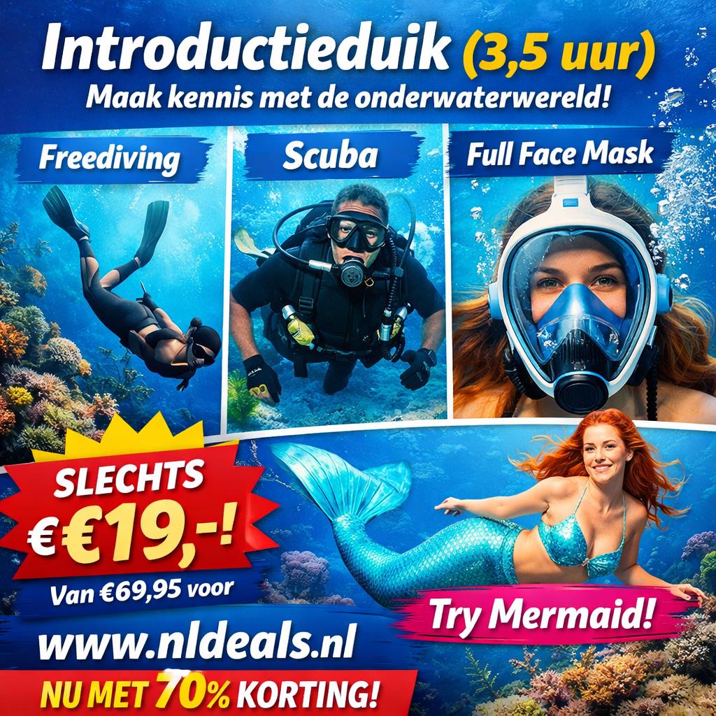 Introductieduik (3,5 uur) - Ontdek de onderwaterwereld!, Ophalen, Nieuw, Overige typen