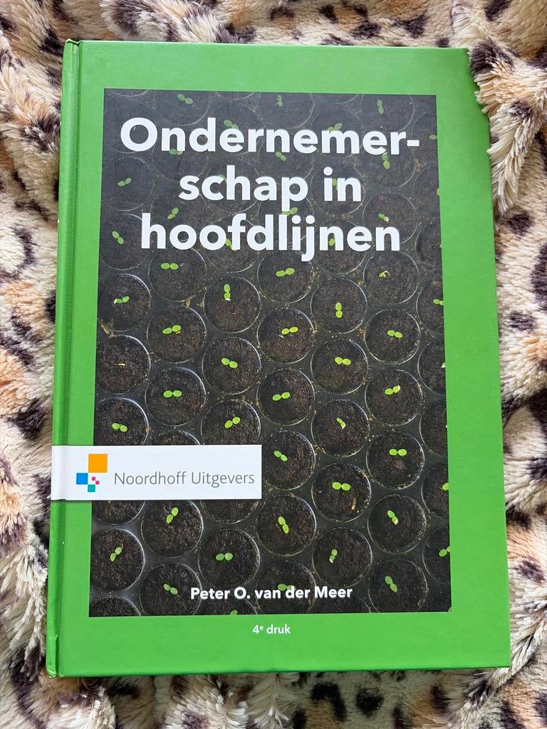Ondernemerschap in hoofdlijnen - Peter O. van der Meer, Boeken, Studieboeken en Cursussen, Ophalen of Verzenden, Gamma, Nieuw
