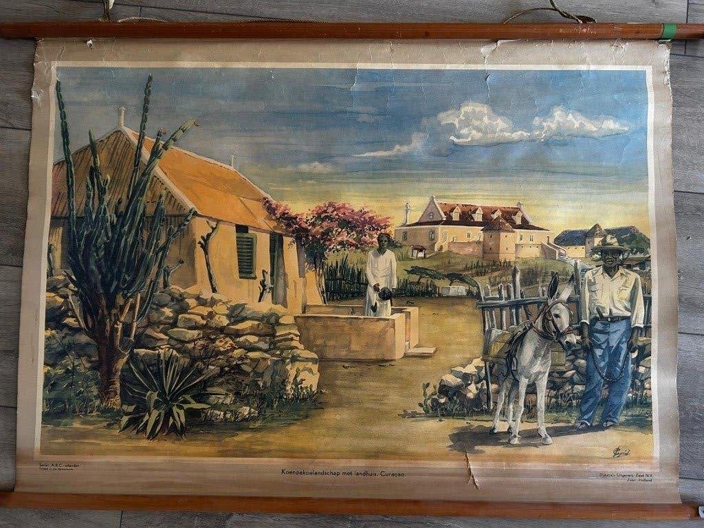 Landschap op Curacao, Ophalen of Verzenden, Natuur en Biologie