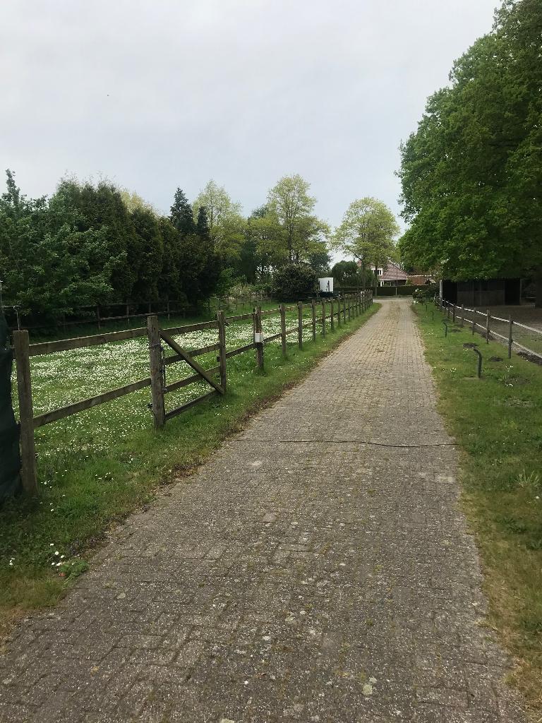 Weidegang/ stalling aangeboden te Oude Pekela! Super locatie, Dieren en Toebehoren, Stalling en Weidegang, Hil-nel@hetnet.nl, Weidegang