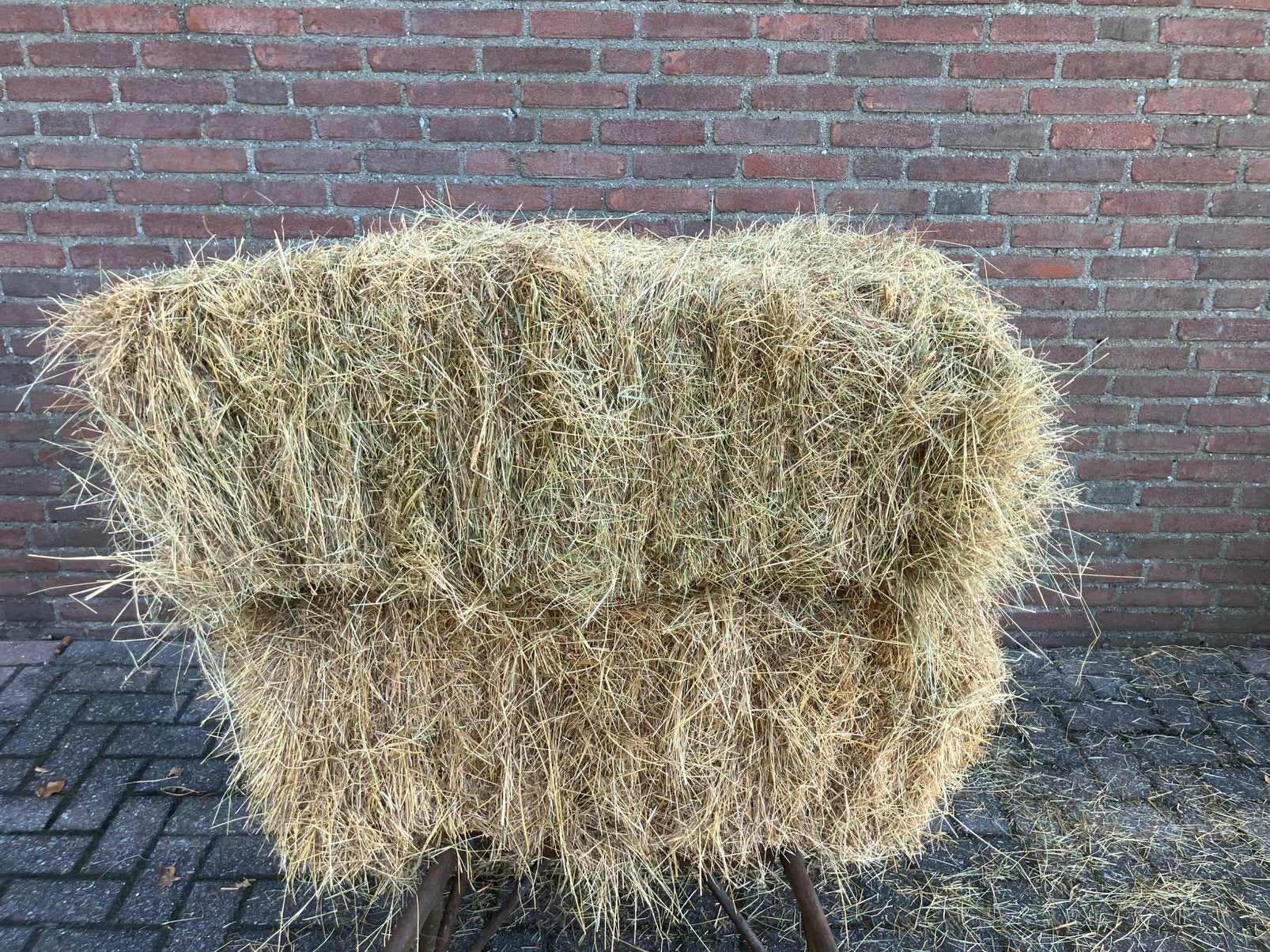 Kleine hooi pakjes, Dieren en Toebehoren, Ophalen of Verzenden, Vee
